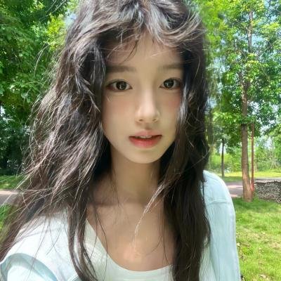 双子座计划
